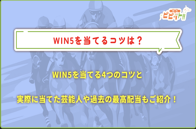 WIN5当てるコツ　[サムネイル]