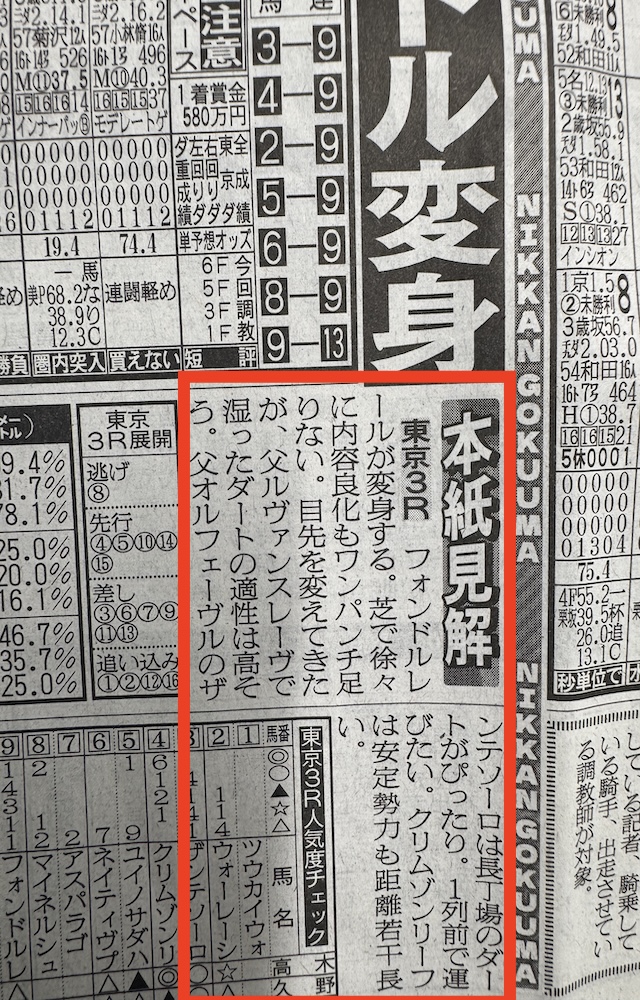 日刊スポーツ本紙側のレース見解