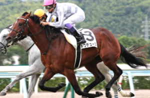 有馬記念　AI予想　[本命馬①ドウデュース]