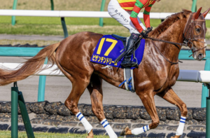 アメリカンジョッキーC　穴馬①ピザンチンドリーム