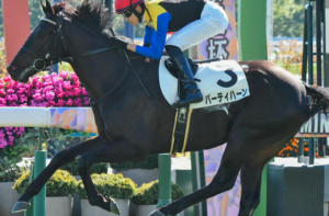 京成杯のAI予想　本命馬①パーティーハーン