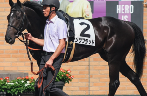 京成杯のAI予想　穴馬①センツブラッド