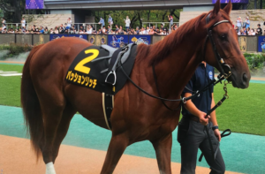 京成杯のAI予想　穴馬③パッションリッチ