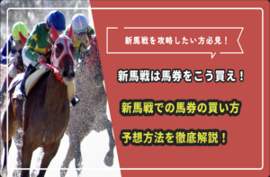 新馬戦　買い方