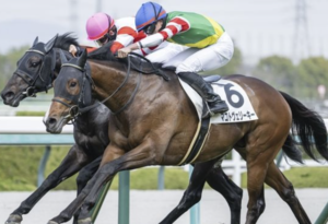 京都記念の穴馬①マコトヴェリーキー