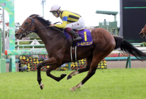 京都記念の本命馬②ソールオリエンス