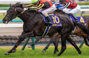 日本ダービーのAI予想　本命馬①クロワデュノール
