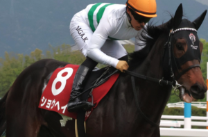 日本ダービーのAI予想　穴馬②ショウヘイ