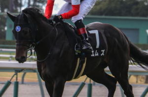 日本ダービーのAI予想　穴馬③エムズ