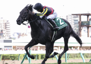 NHKマイルカップのAI予想 穴馬 マジックサンズ