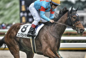 オークスのAI予想　本命馬②エンブロイダリー