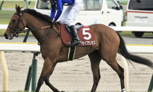 オークスのAI予想　穴馬①タイセイプランセス