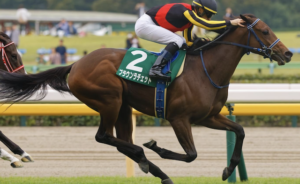 オークスのAI予想　穴馬ブラウンラチェット