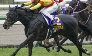 オークスのAI予想　穴馬③エリカエクスプレス