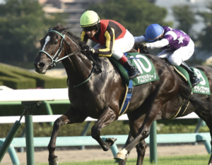 ヴィクトリアマイル AIが選んだ本命馬① アスコリピチェーノ