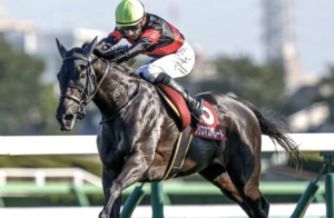 ヴィクトリアマイル AIが選んだ穴馬② クリスマスパレード