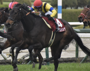 ヴィクトリアマイル AIが選んだ穴馬① ソーダスリング