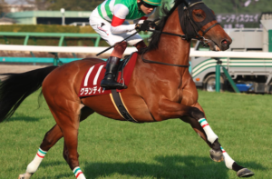 函館記念のAI予想　穴馬：グランディア