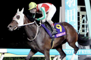 関東オークス　予想　穴馬①ベルグラシアス