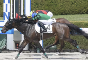 関東オークス　予想　有力馬②クリノスワロー