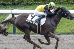 関東オークス　予想　有力馬①メモリアカフェ