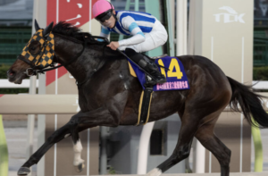 関東オークス　予想　穴馬②プラウドフレール