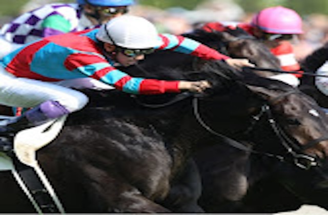 競馬データ検証チャンネルのプロフィール画像