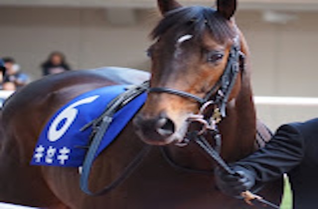競馬全レース予想TVのプロフィール画像