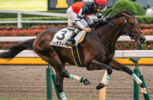 ラジオNIKKEI賞2025　本命馬：トレサフィール