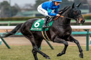 ラジオNIKKEI賞2025　本命馬：センツブラッド