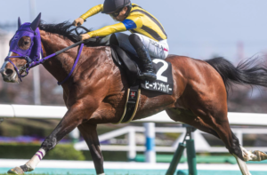 ラジオNIKKEI賞2025　穴馬：ビーオンザカバー
