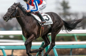 ラジオNIKKEI賞2025　穴馬：インパクトシー