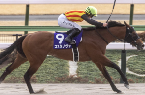 さきたま杯2025のAI予想　有力馬：コスタノヴァ
