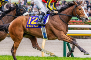 しらさぎSのAI予想　有力馬：チェルヴィニア