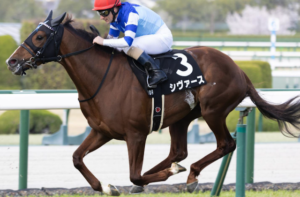 しらさぎSのAI予想　有力馬：シヴァース