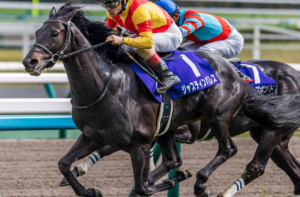 宝塚記念2025のAI予想　穴馬①ジャスティンパレス