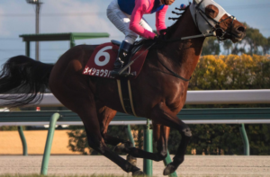 宝塚記念2025のAI予想　穴馬②メイショウタバル