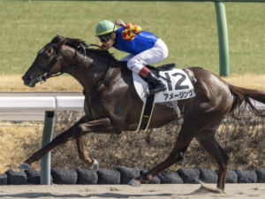 東京ダービーのAI予想 穴馬③アメージング