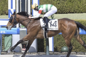 東京ダービーのAI予想 穴馬①カナルビーグル