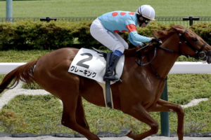 東京ダービーのAI予想 穴馬②クレーキング