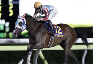 東京ダービーのAI予想 本命①ナチュラルライズ