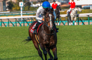 安田記念2025　AI予想　本命馬②ソウルラッシュ