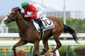 函館2歳ステークスのビビットAIが選んだ本命馬⑧ブラックチャリス