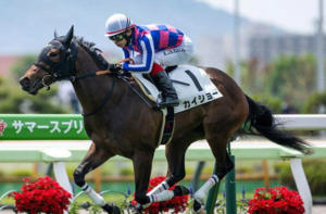 函館2歳ステークスのビビットAIが選んだ本命馬②カイショー