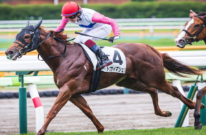 函館2歳ステークスのビビットAIが選んだ穴馬⑪トウカイマシュリ