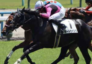 小倉記念のAI予想　穴馬　オールセインツ