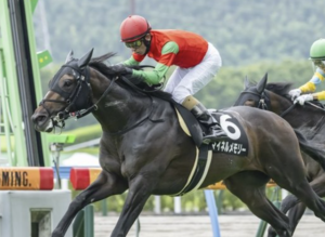 小倉記念のAI予想　穴馬　マイネルメモリー