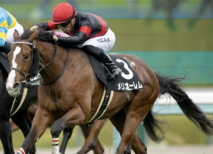 小倉記念のAI予想　本命馬メリオーレム