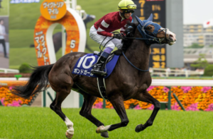 関屋記念2025　ビビットAIが選んだ有力馬：⑪ボンドガール