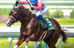関屋記念2025　ビビットAIが選んだ穴馬：⑱ダイシンヤマト